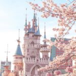 Seokchon Lake Cherry blossom