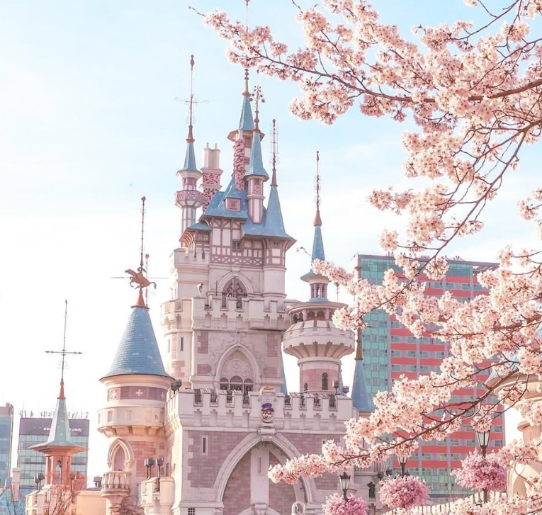 Seokchon Lake Cherry blossom