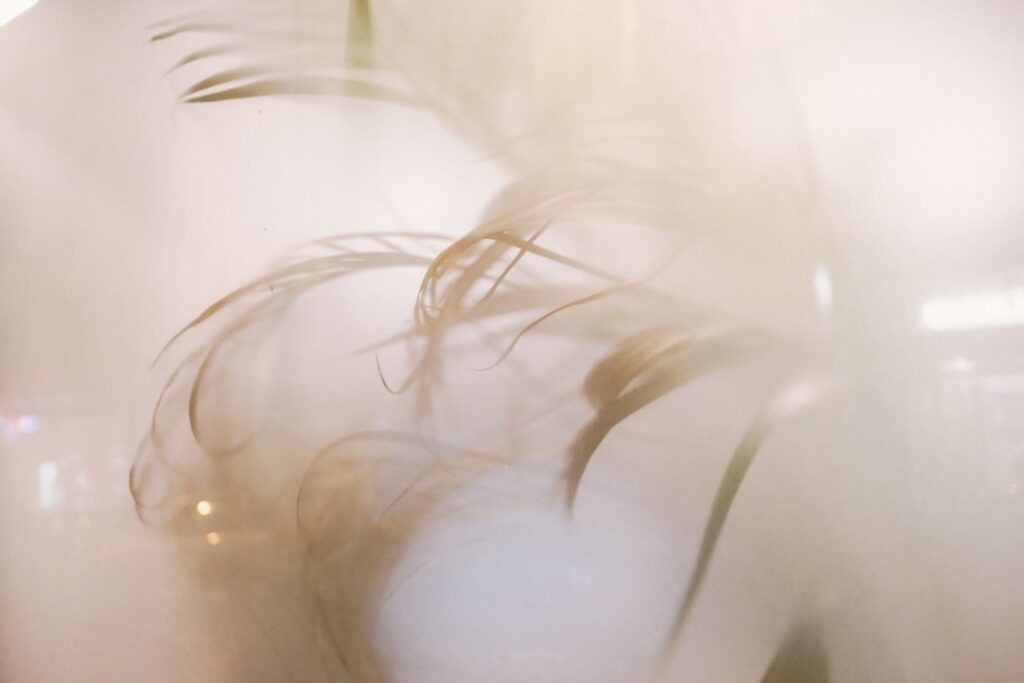 Beyond the Hype: The Dark Horse AI That Called the Iran Air Strike